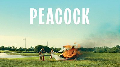 Peacock 2024 2024