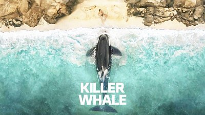 Killer Whale 2026 2026
