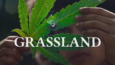 Grassland 2024 2024